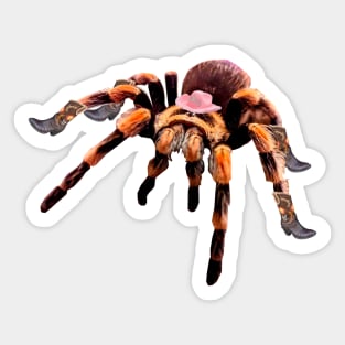 Cowgirl Spider Sticker
